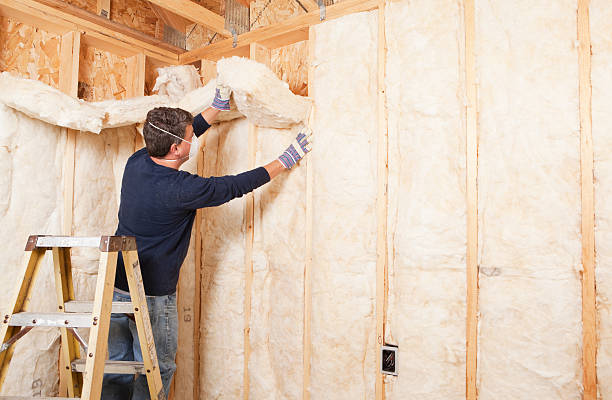 Best Insulation for New Construction  in Dooms, VA